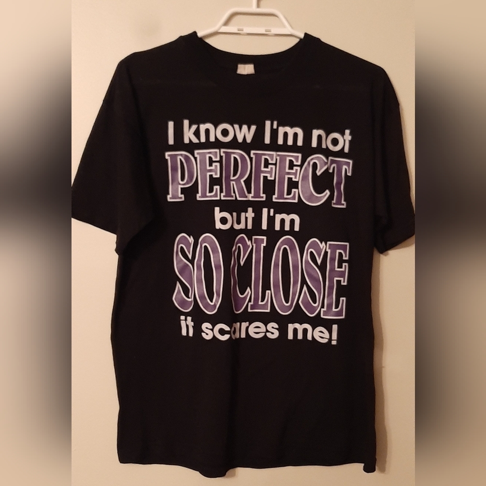 Perfection T-shirt ~ Large